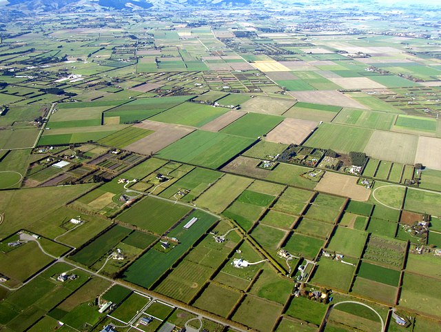 Fields on the East Alluvial Plain of NZ