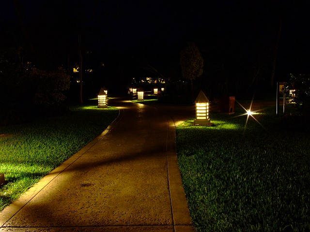 Path at Night