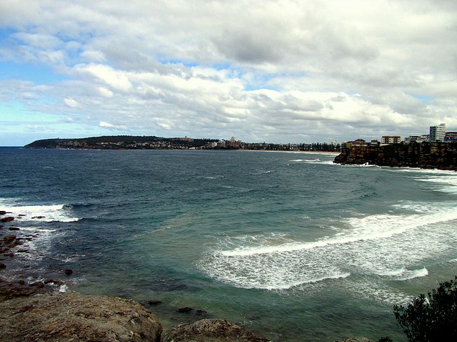 Freshwater Beach in Harbord