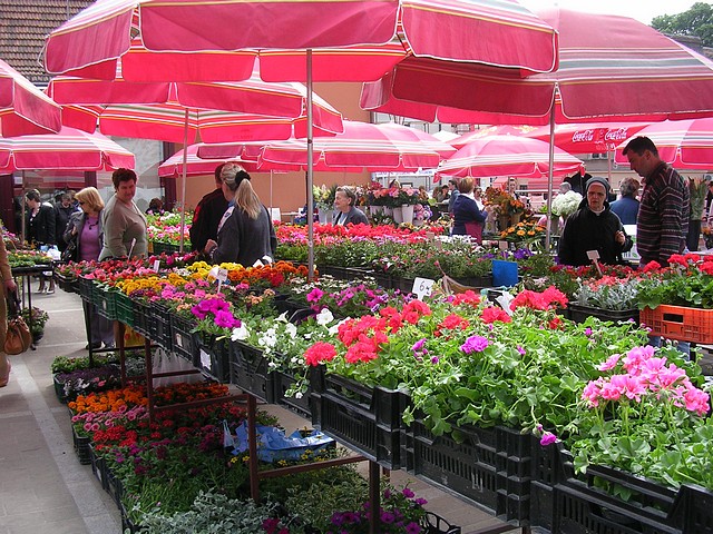 Dolac Market