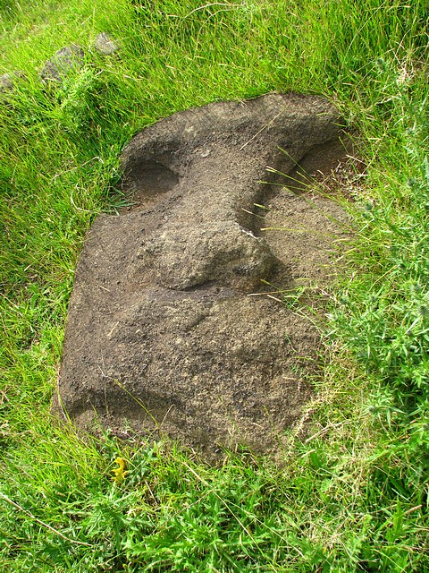 Moai Face in the Grass
