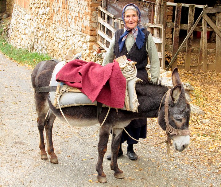 Village Matriarch