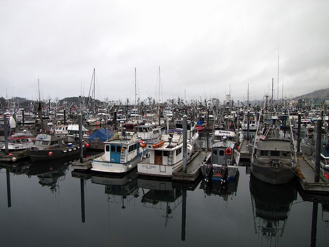 St. Paul Harbor, Kodiak