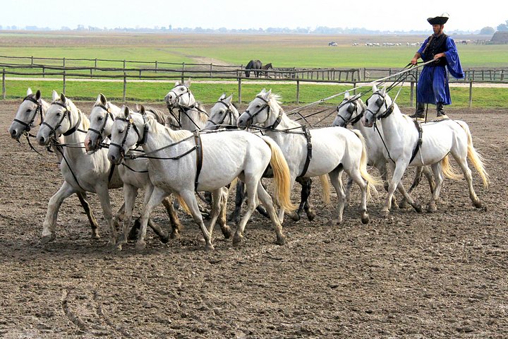 Bakod Equestrian Center