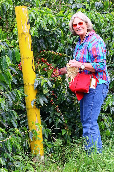 Gennie Picking Coffee