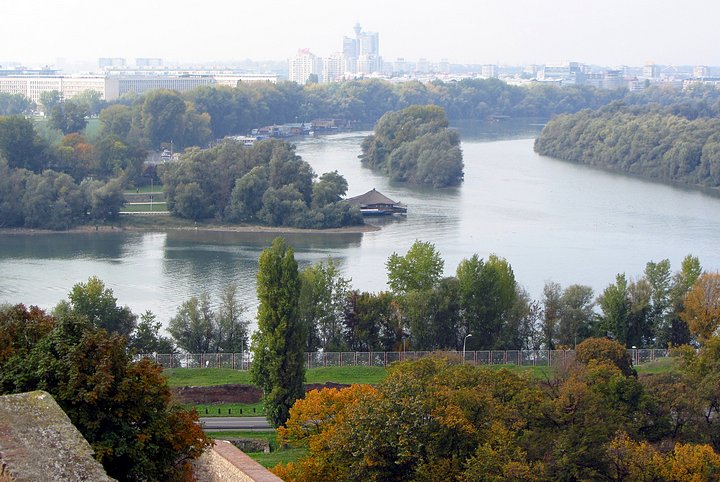 Confluence of Sava & Danube Rivers