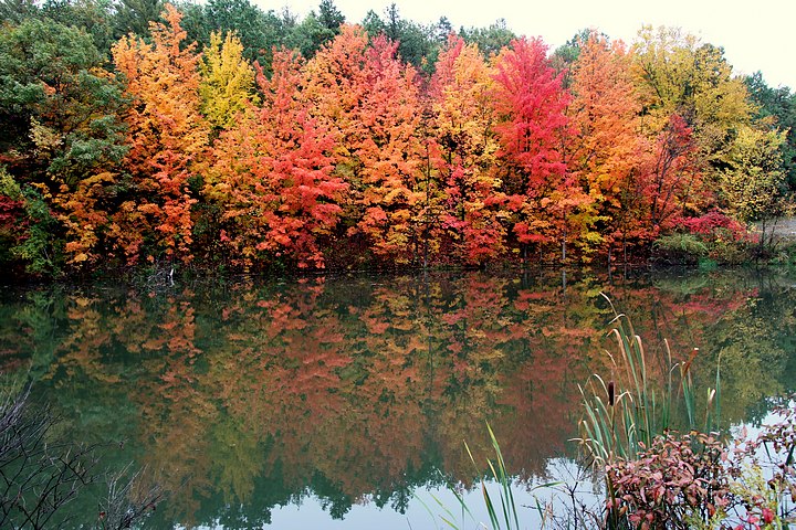 Fall Reflections