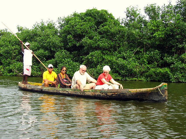 Canoeing in the Mangroves