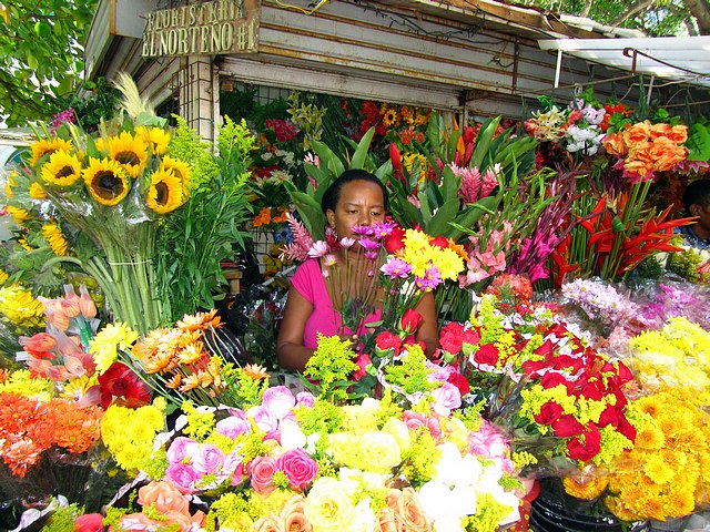 La Matuna Florist