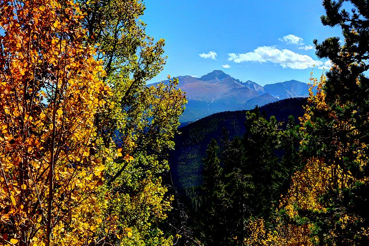 Long’s Peak Through Aspen