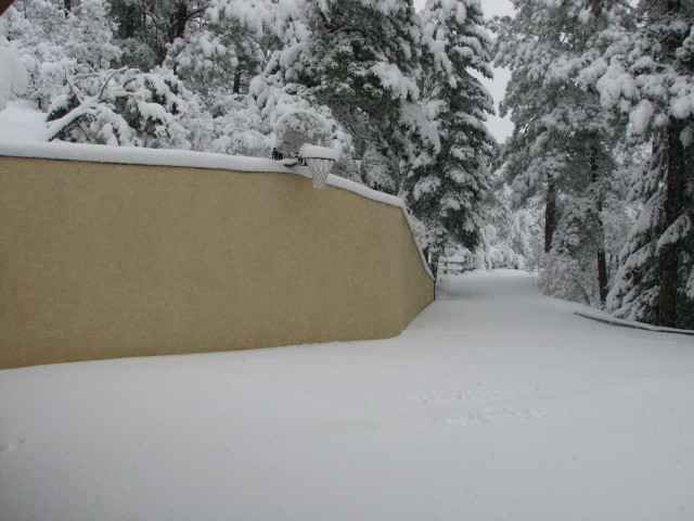 Our Driveway Early Morning