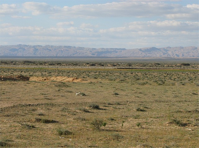 Flat Plains North of Tozeur