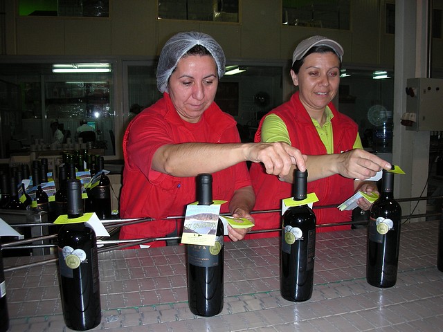 Gracia Winery Packaging